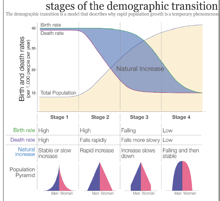 Demographic Transition Demographic Transition